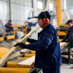 фото працівника лісгоспу за роботою