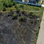 фото наслідків підпалу сухої трави