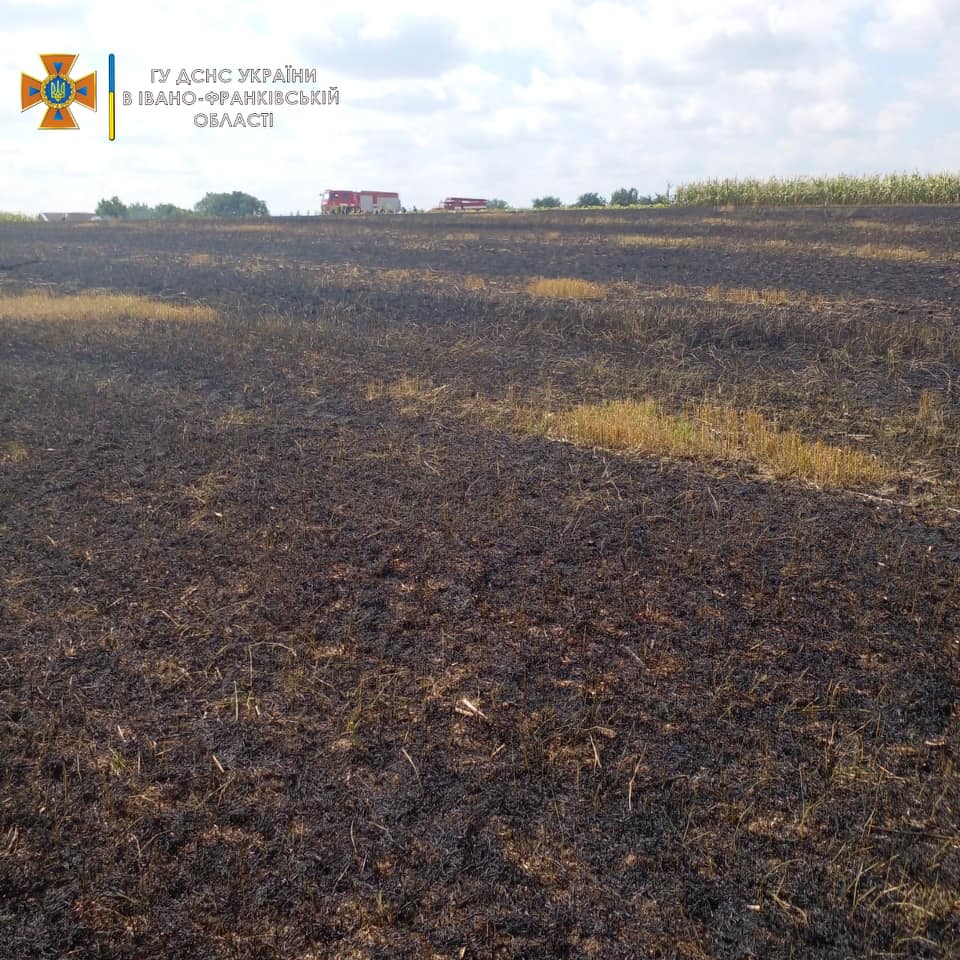 На пожежі сухої трави в Коломийському районі травмувався чоловік (ФОТО)