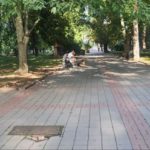 собаки в Меморіальному сквері