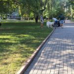 Меморіальний сквер