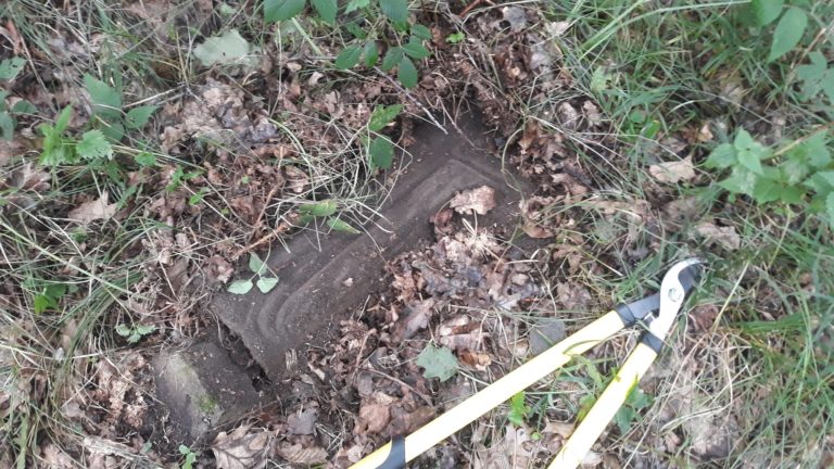У Павлівці віднайшли військовий цвинтар часів Першої світової (ФОТО)
