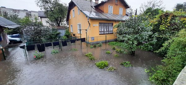 Повалені дерева та підтоплення: на Прикарпатті вирує негода (ФОТО)