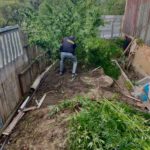 прикарпатець вирощував коноплі