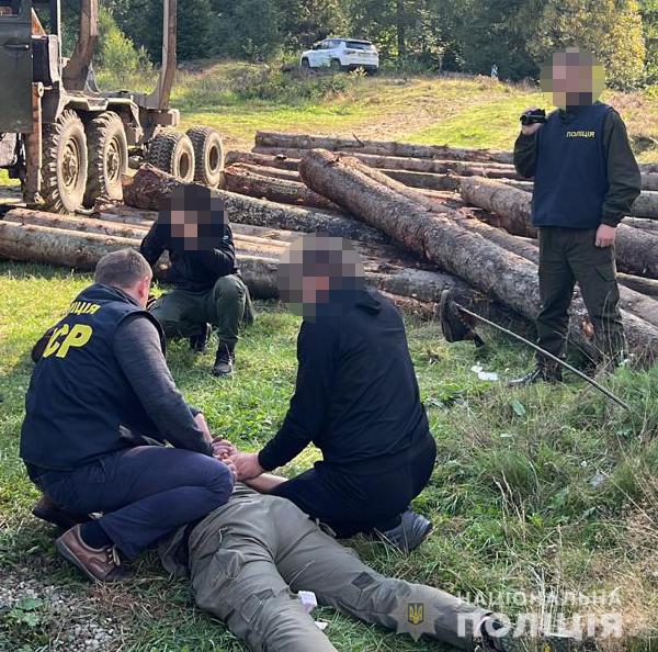 100 тисяч за “ліву” деревину: на Прикарпатті ДБР і поліція затримала лісничого (ФОТО)