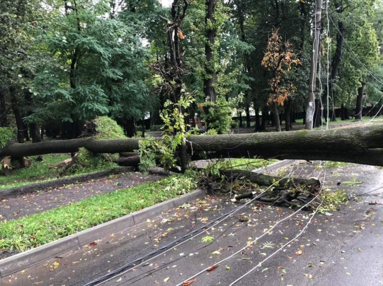 У Коломиї через негоду затопило підвали та пошкодило лінії електропередач
