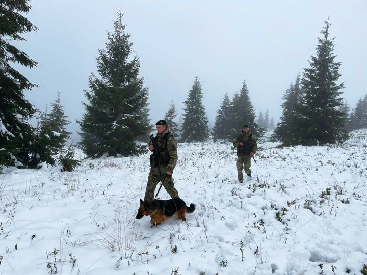 Прикордонники закликають ухилянтів не тікати через Карпати, бо можна загинути