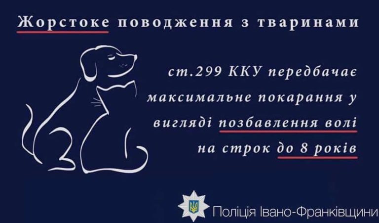 На сміттєзвалищі в області знайшли дев’ятьох мертвих цуценят – ймовірно, отруєні. Поліція шукає винуватців