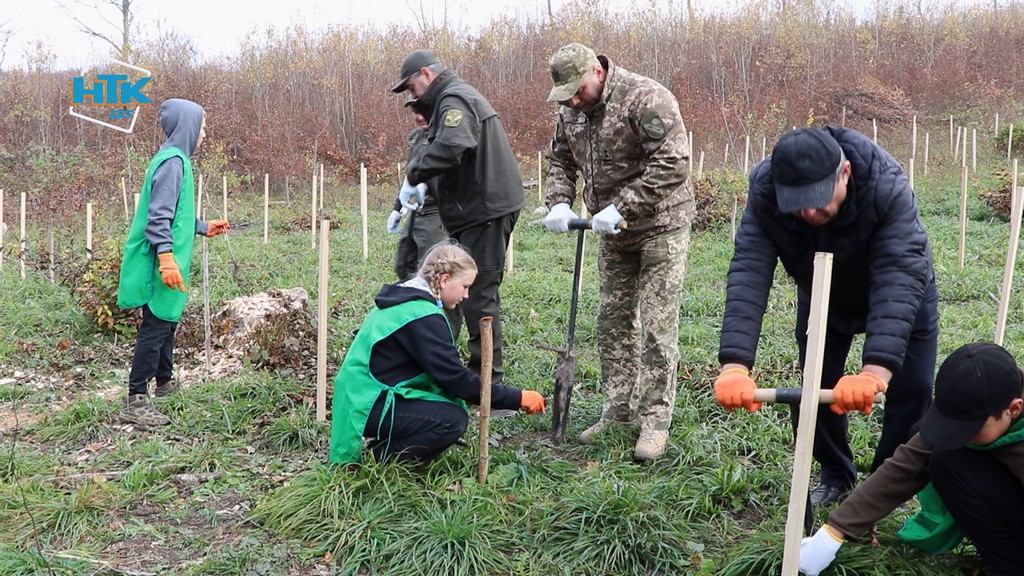 2 700 саджанців дуба висадили школярі у Франківському районі (ВІДЕО)
