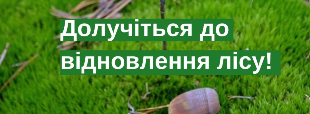 Прикарпатців запрошують долучитися до відновлення лісу в Карпатах