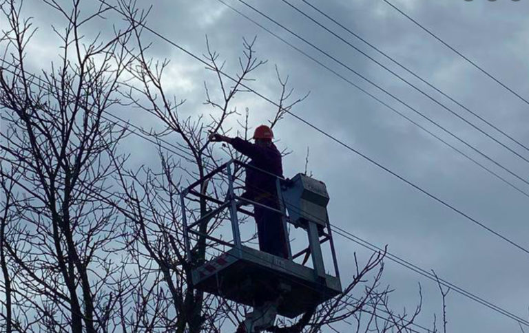 Чому важливо проводити чистку електротрас. Розказують прикарпатські енергетики