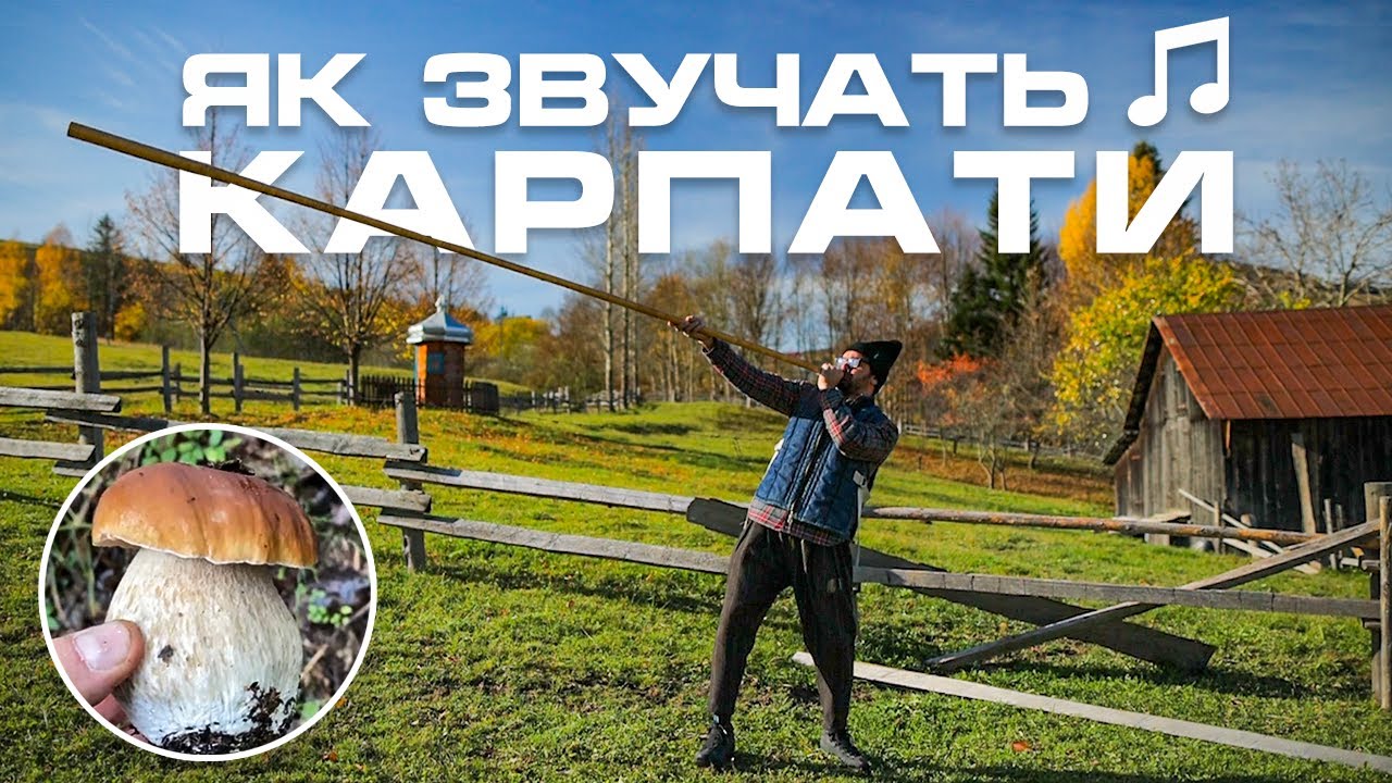 Музична палітра Гуцульщини. The Maneken написав пісню зі звуків Карпат (ВІДЕО)