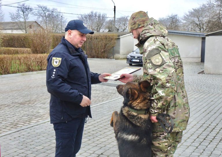 У Франківську нагородили найкращих кінологів поліції (ФОТО)