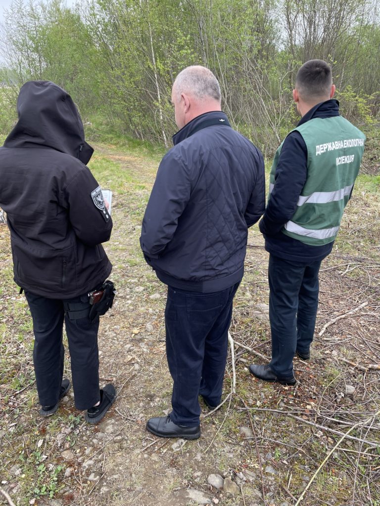 У заказнику на Прикарпатті виявили значні незаконні рубки лісу. Зараз шукають винних