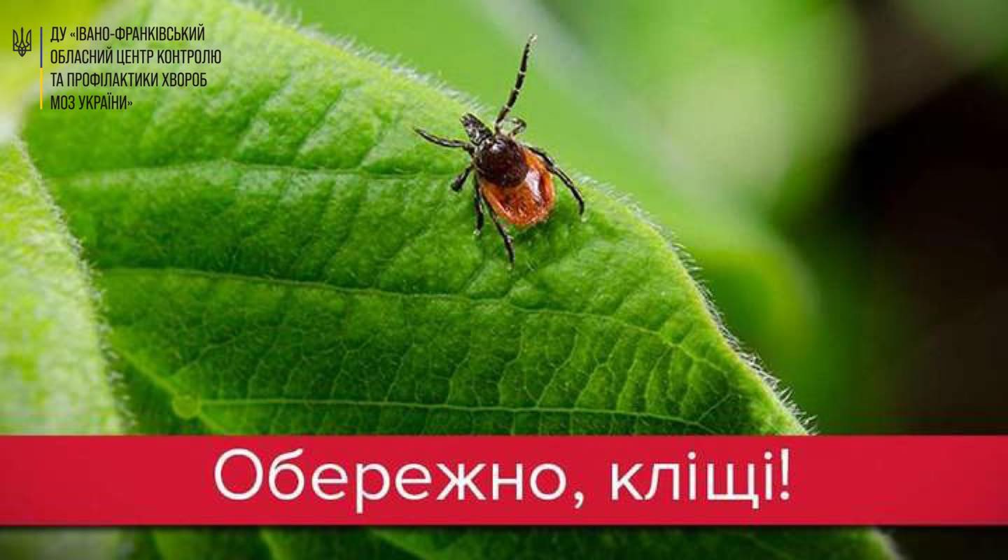 Цьогоріч на Прикарпатті зафіксували 14 випадків хвороби Лайма, два з них – у дітей