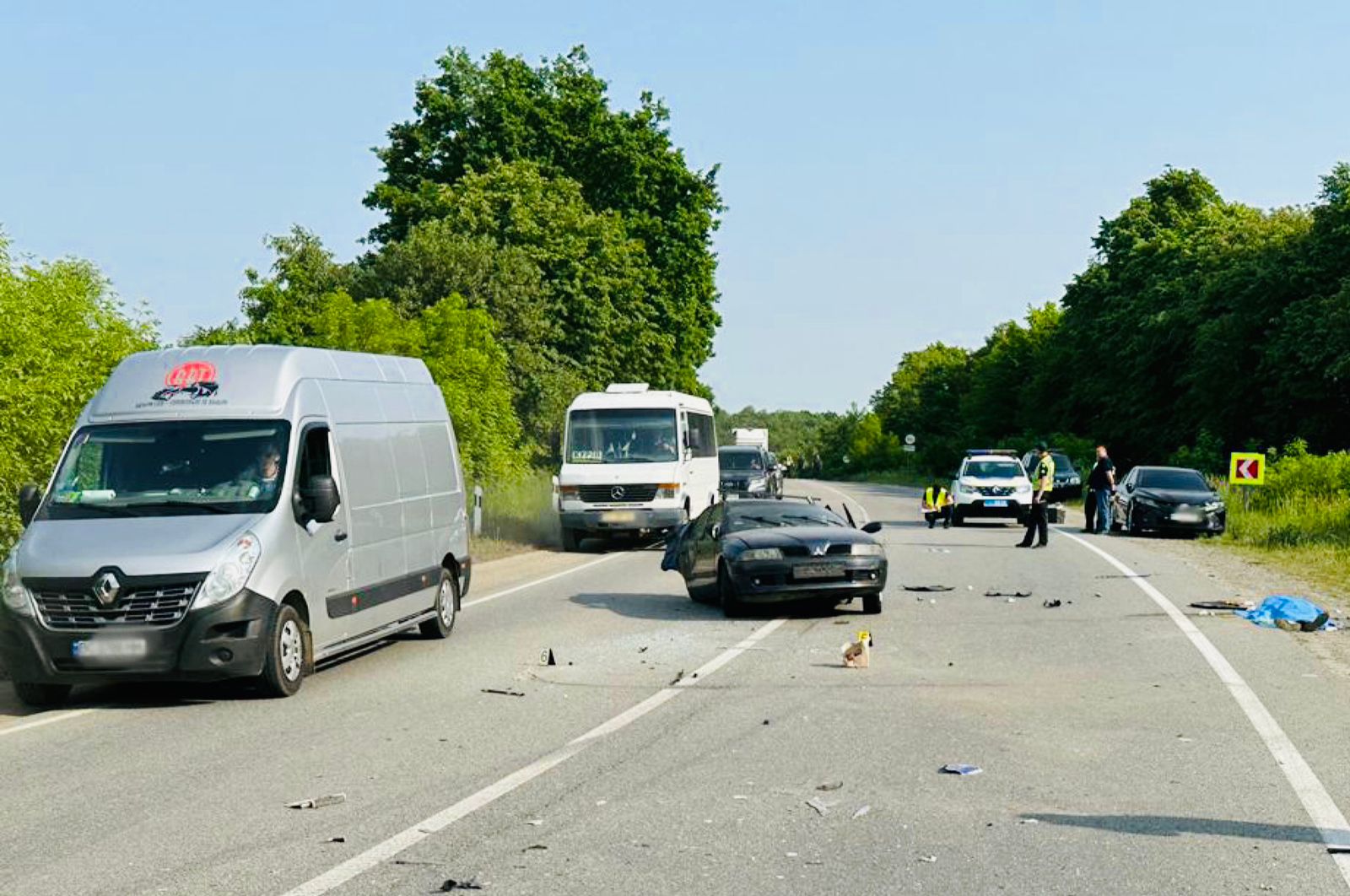 Водійка на швидкості втратила контроль: деталі ДТП у Крилосі, в якій загинула дитина (ФОТО)