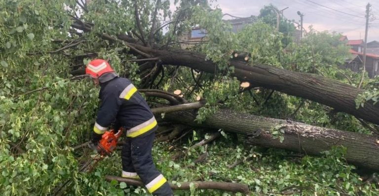 Затоплені підвали та повалені дерева у Франківську та Городенці: з якими наслідками стихії боролись рятувальники (ФОТО, ВІДЕО)