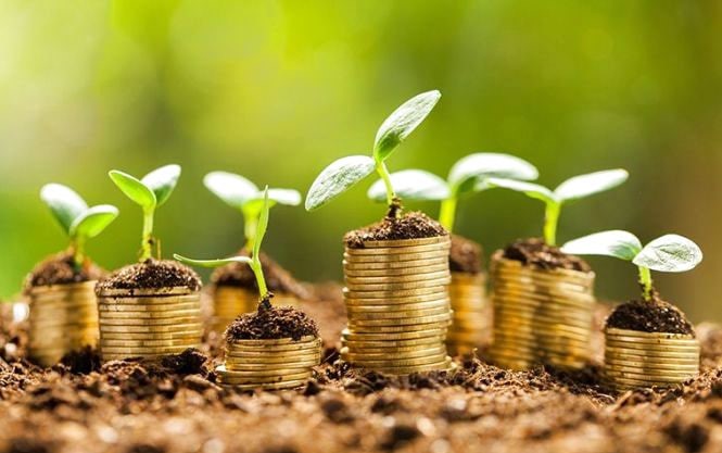 Косівський суд арештував ділянку землі за 22 мільйони, яку незаконно передали у приватну власність
