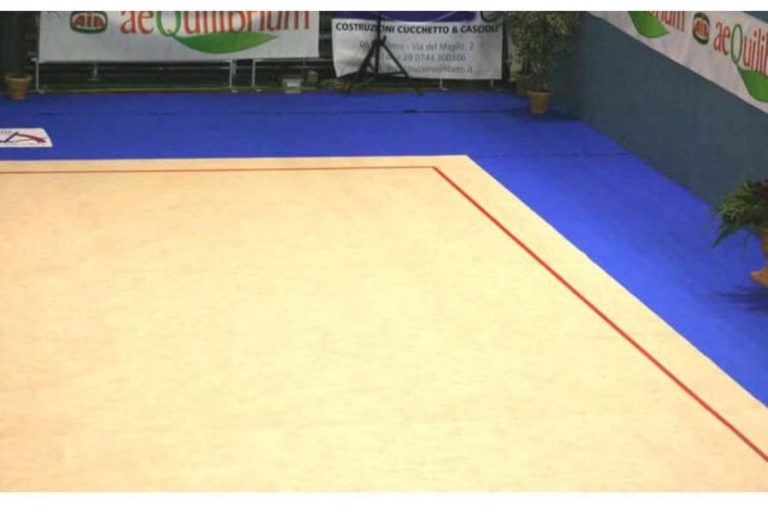 Івано-Франківська дитяча спортивна школа купує гімнастичний килим за 2,2 млн грн