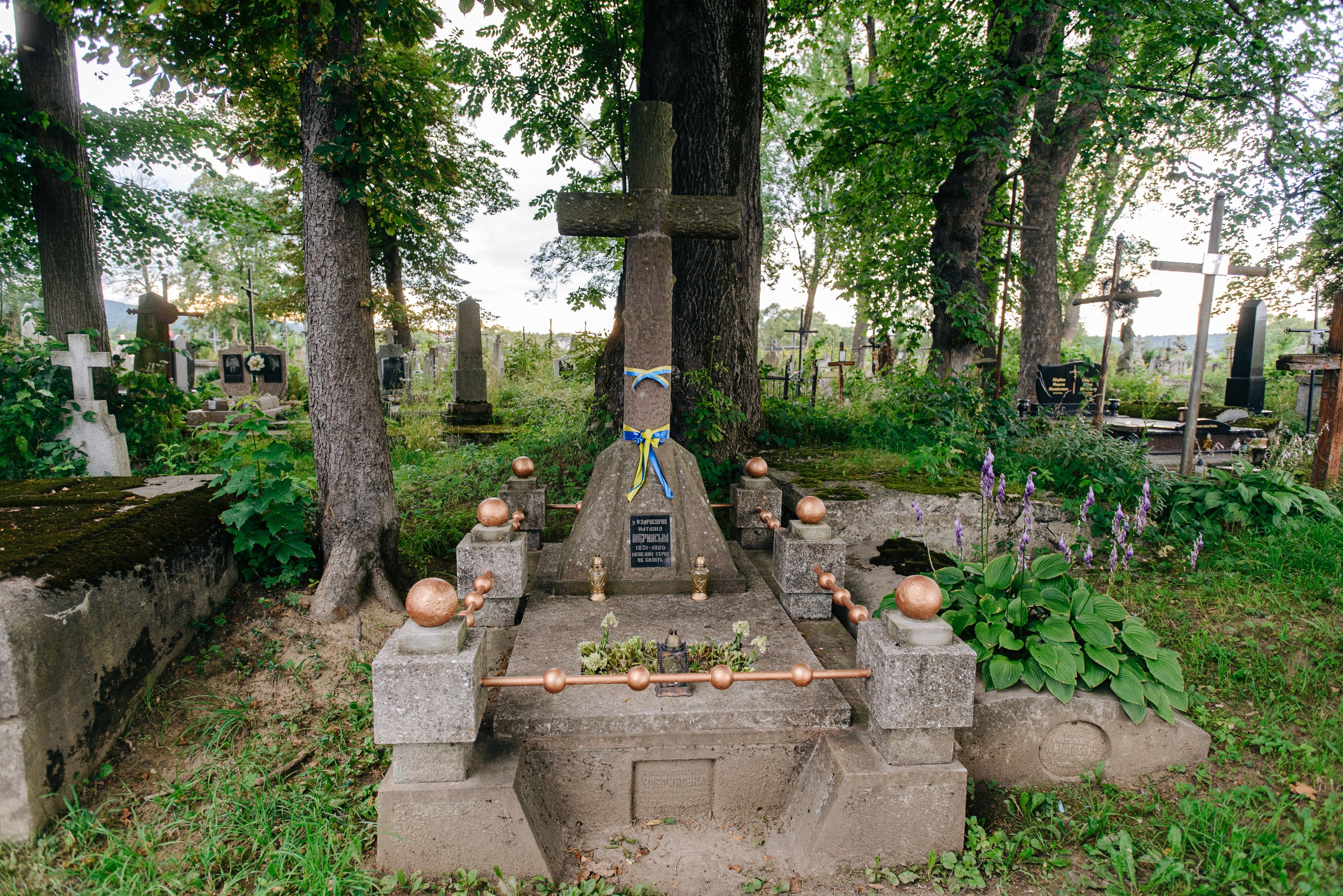 У Болехівській громаді запрацює туристичний маршрут “Шляхами Наталії Кобринської” (ФОТО)