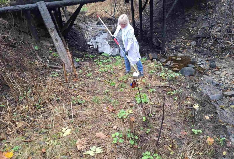 На Надвірнянщині вода з річки, в яку вилились нафтопродукти – в нормі (ФОТО)
