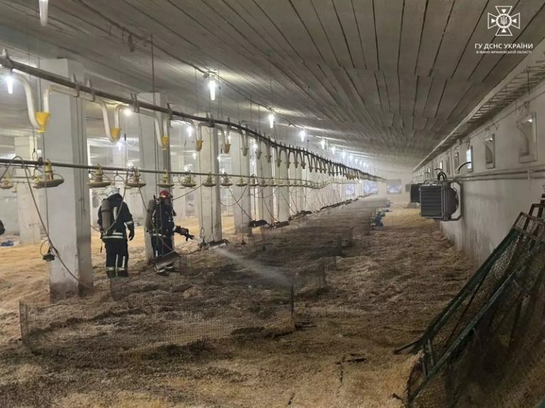 Птахофабрика горіла на Надвірнянщині (ФОТО)