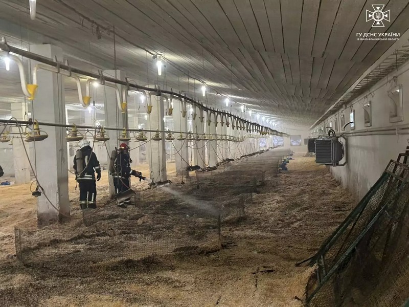 Птахофабрика горіла на Надвірнянщині (ФОТО)
