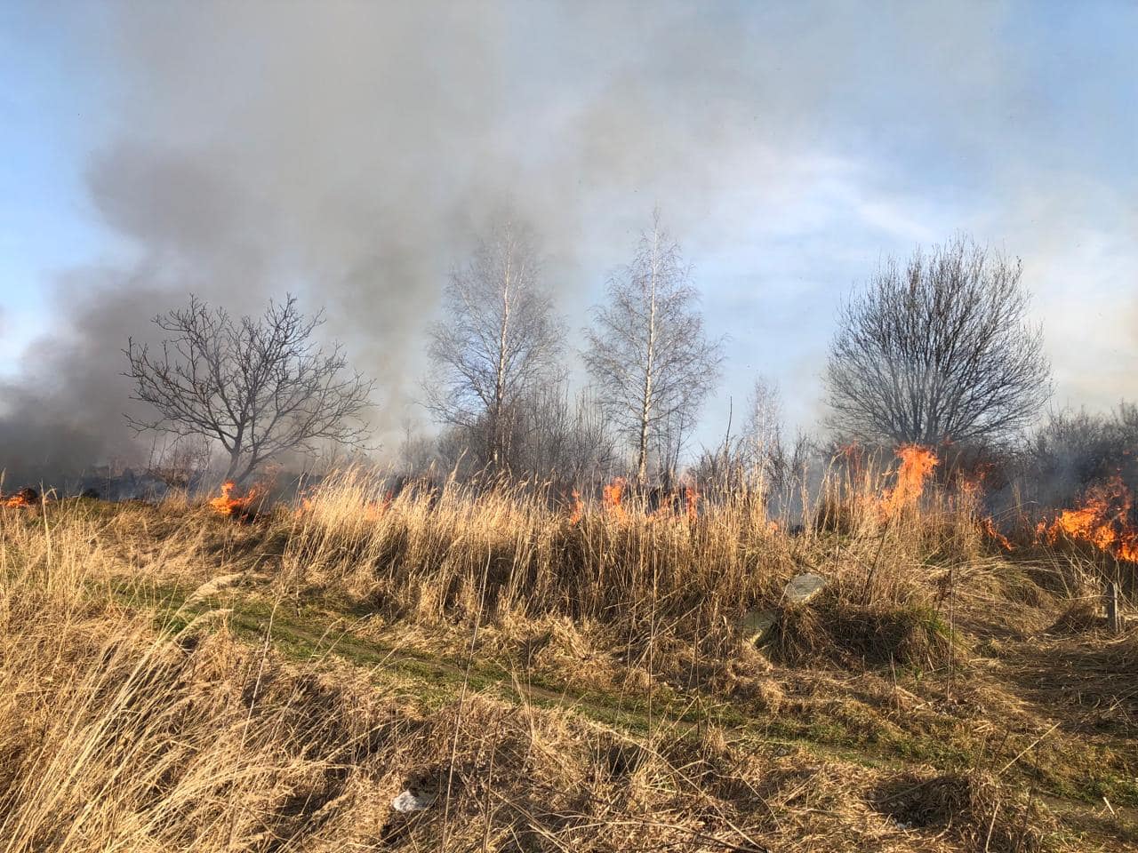 У Надвірній “на гарячому” спіймали й оштрафували палія трави (ФОТО)