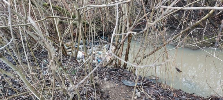 В Угринові до потічка, що впадає у Бистрицю, витекли небезпечні речовини: шукають причетних (ФОТО)