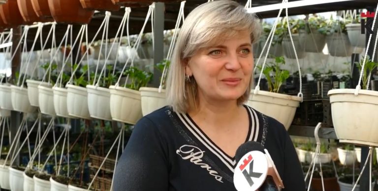 У Калуші з’явиться бузкова алея та газон, який не треба косити