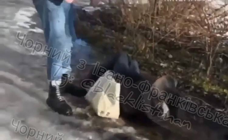 Це наслідок виховання батьків і в школах: Марцінків про підлітків, які нападали на перехожих
