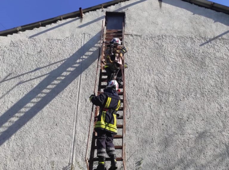 Франківські рятувальники допомогли собаці вибратися із недіючої будівлі (ФОТО)