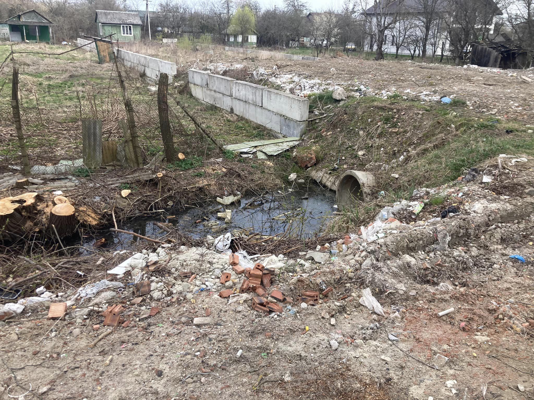 Це приватна територія: у мерії прокоментували засмічену ділянку біля франківського міського озера