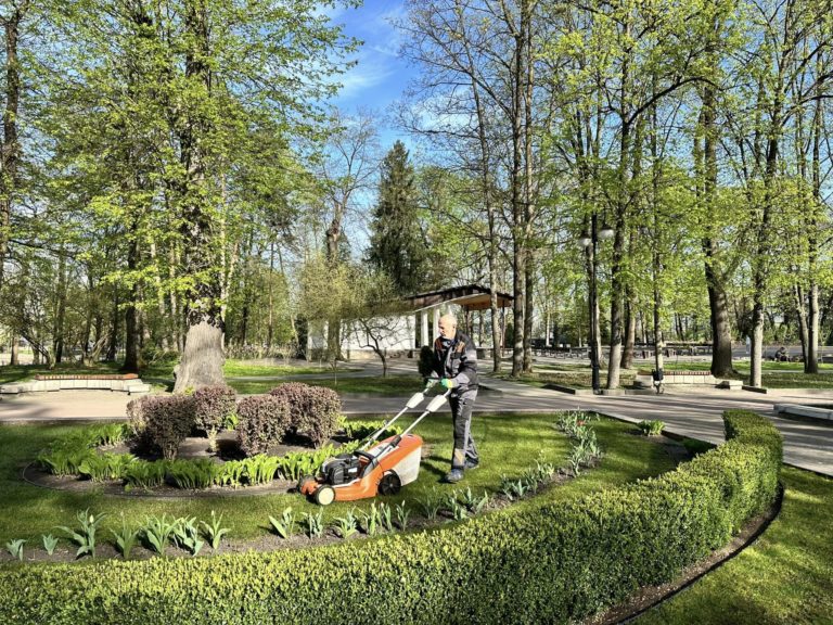 У франківському міському парку просять не пускати собак на клумби