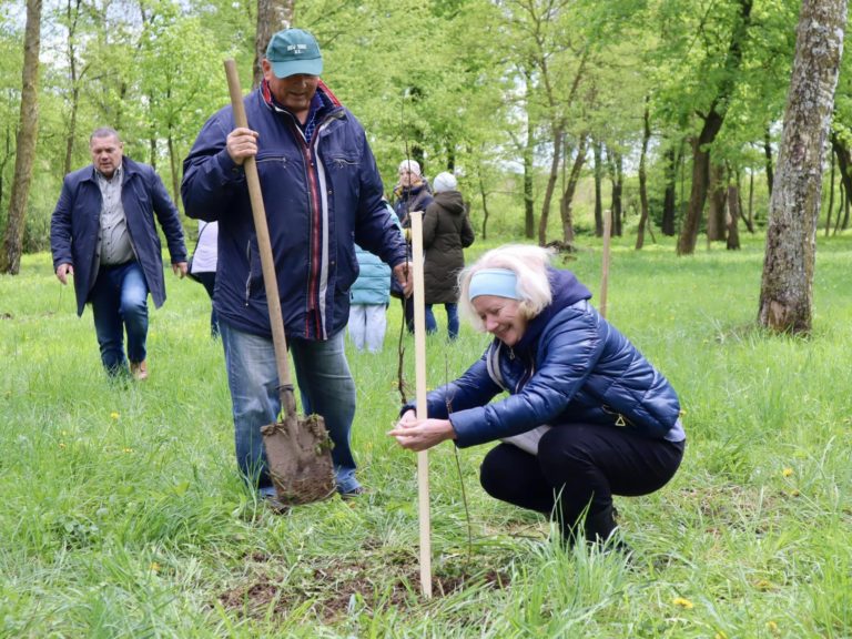 У Коломиї висадили 27 саджанців Дуба Шевченка (ФОТО)