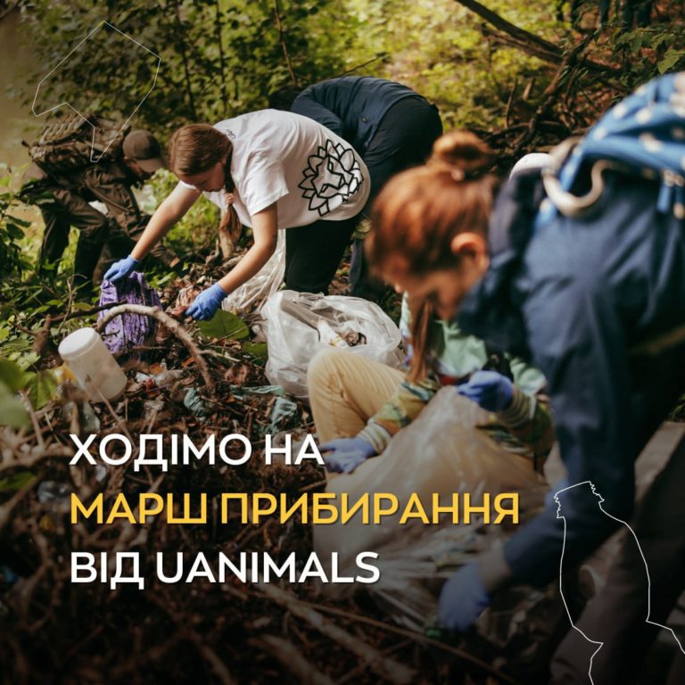 У нацпарку “Гуцульщина” вдруге пройде марш прибирання від UAnimals