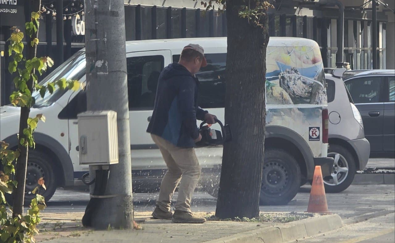 На Мазепи незаконно зрізали дерево (ВІДЕО)
