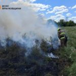 вогнеборці гасять пожежу сухої трави