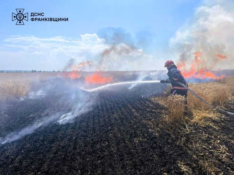 На Прикарпатті горіло поле пшениці (ФОТОФАКТ)