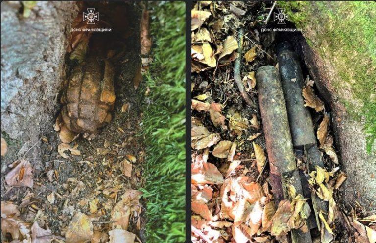 Дві авіабомби й гранату часів Другої світової знайшли на Маковиці (ФОТО)