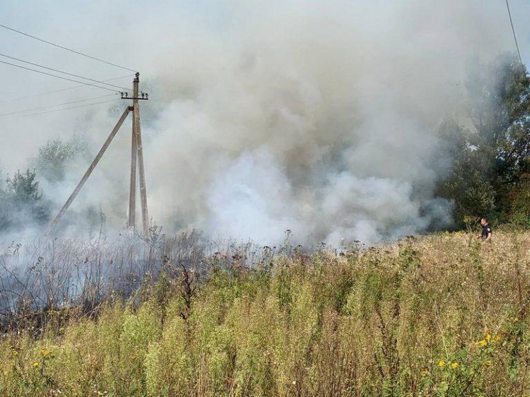 800 м кв. пожежі: у Букачівцях невідомі підпалили суху траву (ФОТО)