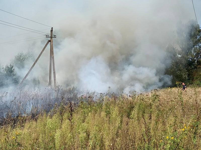 800 м кв. пожежі: у Букачівцях невідомі підпалили суху траву (ФОТО)