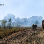 пожежа сухої трави