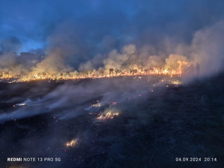 У Дзвинячі, Скобичівці та Монастирчанах 4 рази за добу горів сухостій (ФОТО)