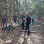 правоохоронці оглядають місце незаконної рубки