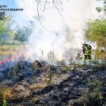 рятувальник гасить пожежу сухої трави