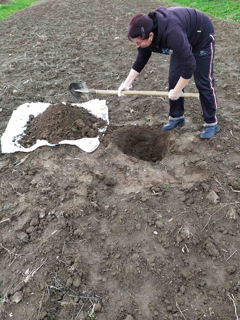 Фахівці з лопатами шукали шкідників у землях Прикарпаття: що знайшли (ФОТО)
