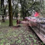 на Галицькій впало дерево