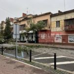 на Галицькій впало дерево