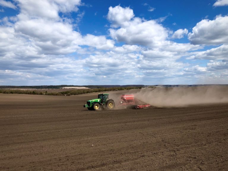 На Прикарпатті понад 85 тисяч гектарів землі засіяли озимими культурами